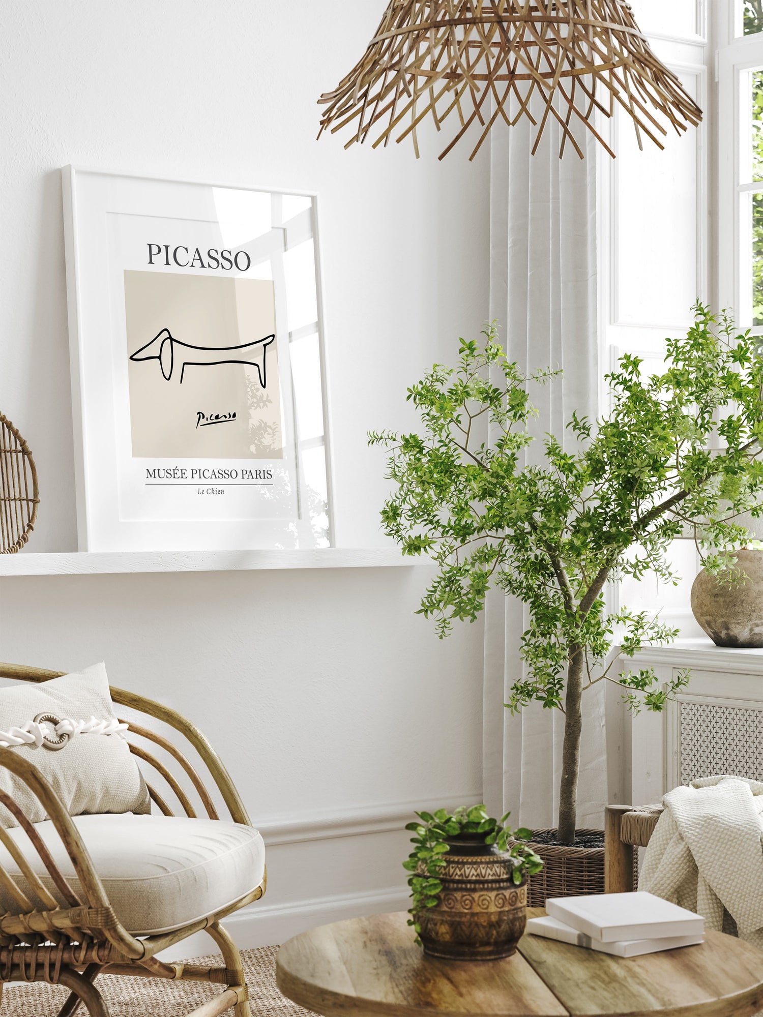 Picasso