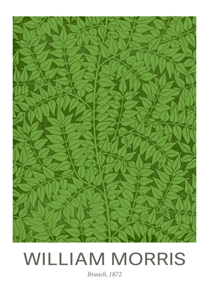 William Morris Green 'Branch'