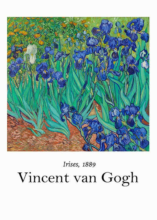 Vincent Van Gogh Irises Art Print