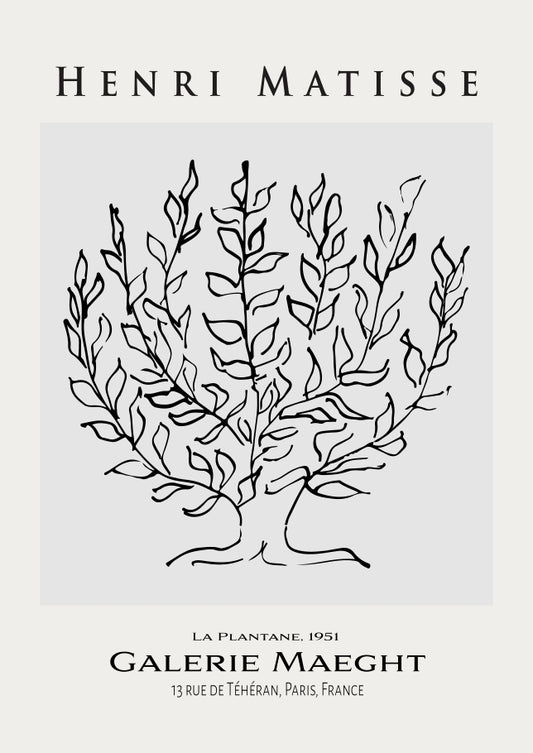 Matisse - The Plane Tree Exhibition Art Print