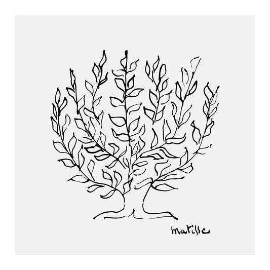 Matisse The Plane Tree Square Art Print