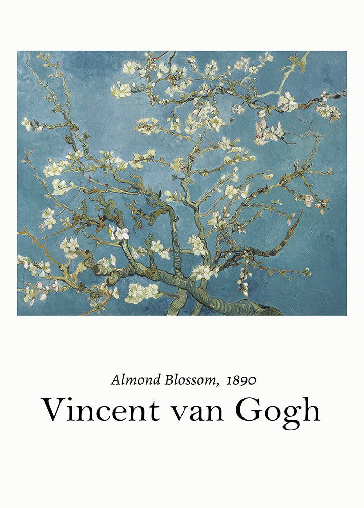 Van Gogh Almond Blossom Poster