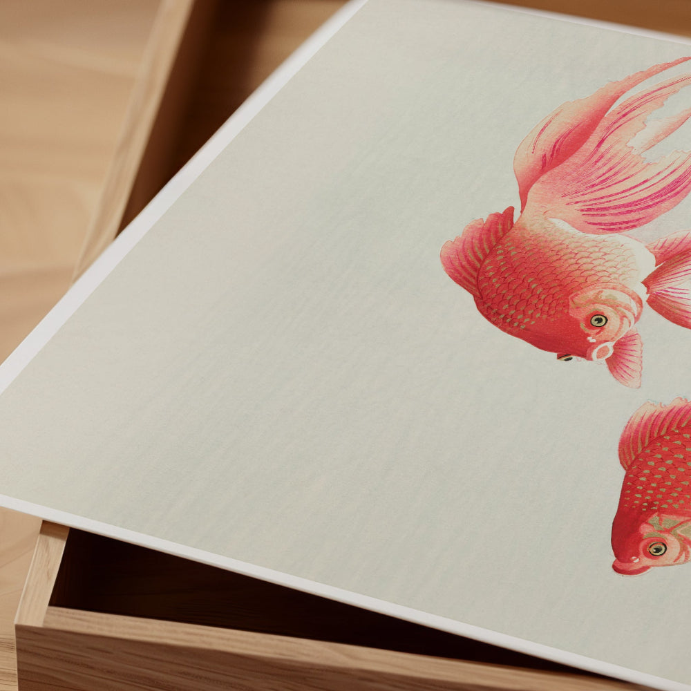 Two Veil Goldfish Art Print