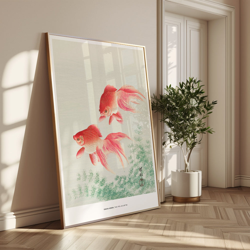 Two Veil Goldfish Art Print