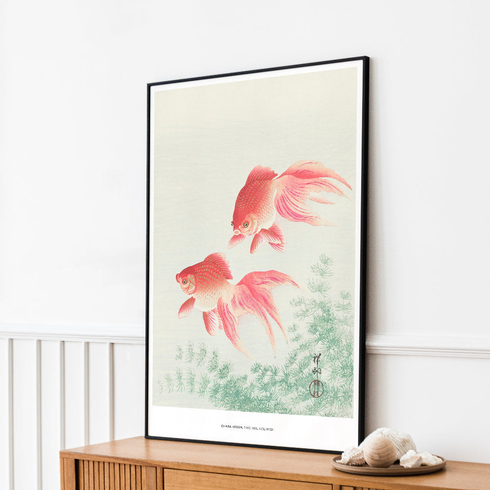Two Veil Goldfish Art Print