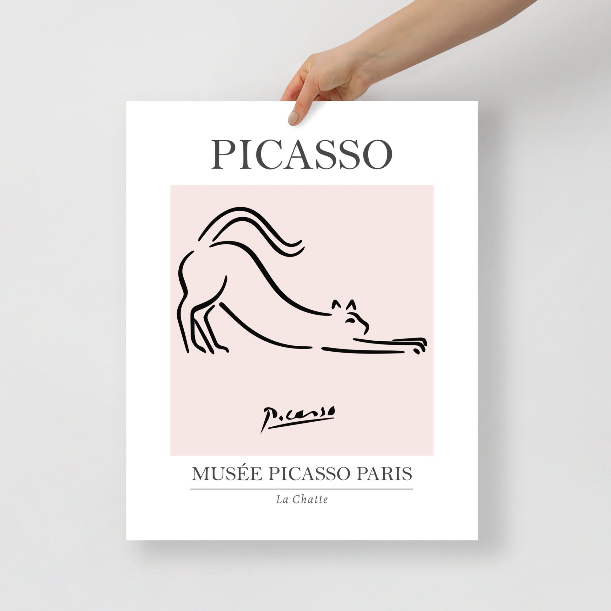 cat pink Poster