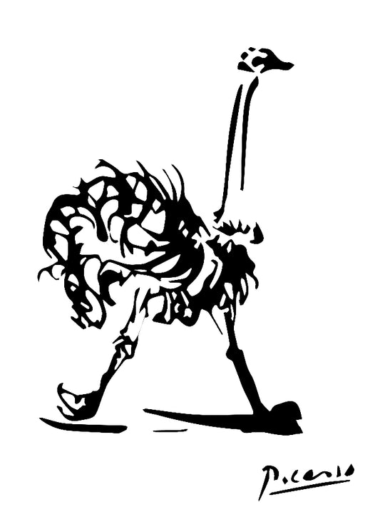 Picasso Ostrich Sketch Illustration