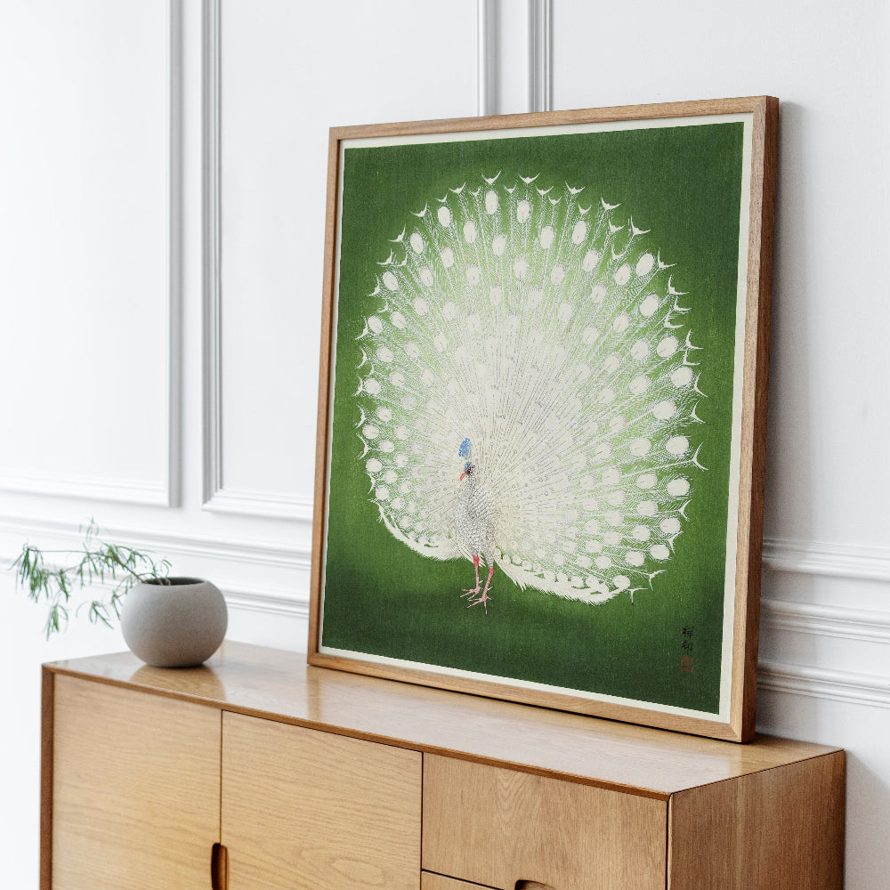 White Peacock on Green Art Print