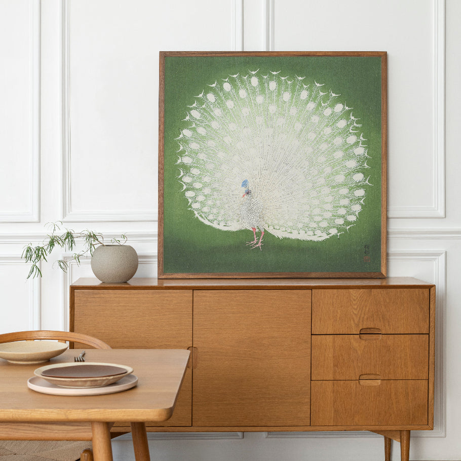 White Peacock on Green Art Print